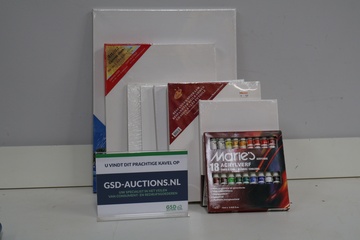 Afbeelding van Set schilderdoeken en acrylverf