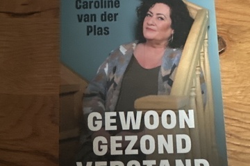 Afbeelding van Gewoon gezond verstand, Caroline van der Plas boek