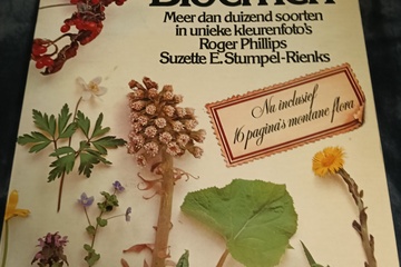 Afbeelding van vintage boek wilde bloemen
