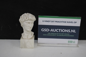Afbeelding van Buste van David