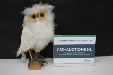 Afbeelding van Decoratieve uil
