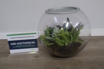 Afbeelding van Glazen Terrarium met Kunst- & Vetplanten