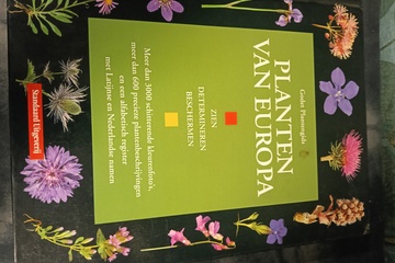 Afbeelding van Bloemen boek