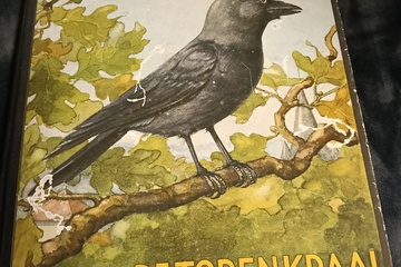 Afbeelding van Boek de torenkraai