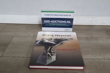 Afbeelding van Boek 'Hetty Heyster Sculpturen II'