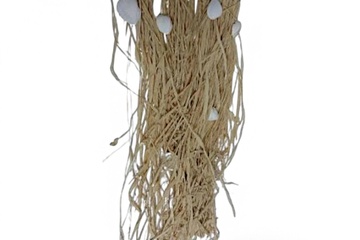 Afbeelding van 2xDesign hanger Raffia 20x60cm muurdecoratie