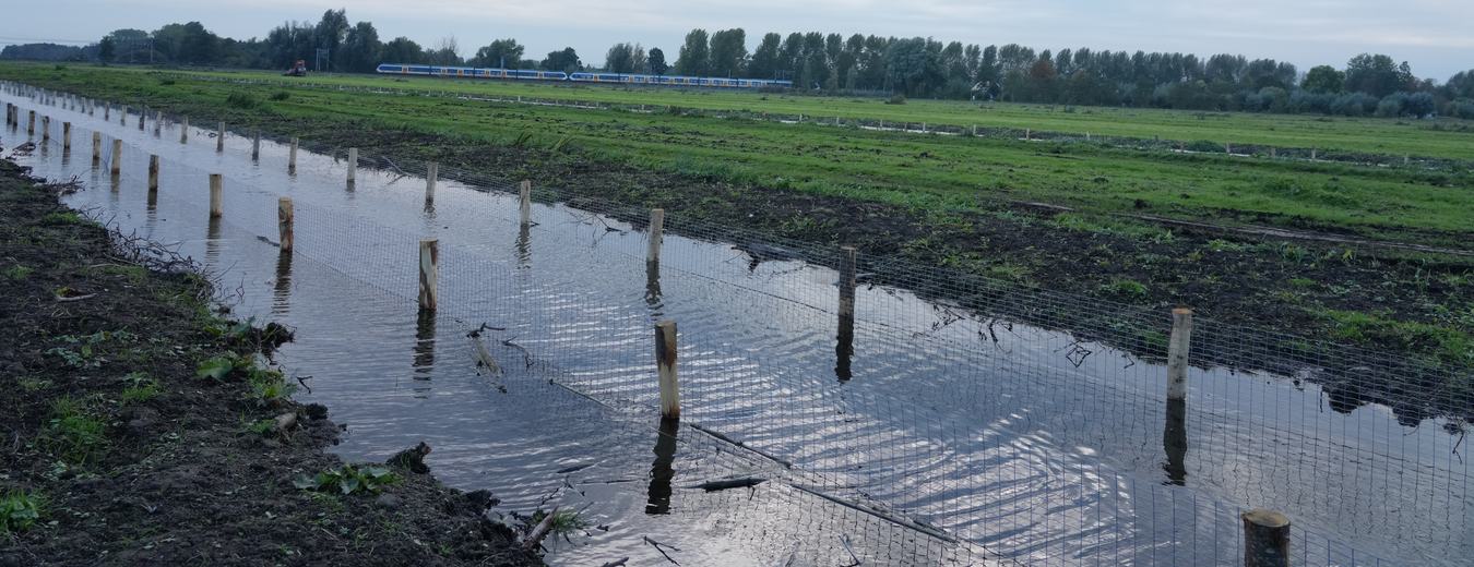 Natuurvriendelijke oevers Polder Bloemendaal