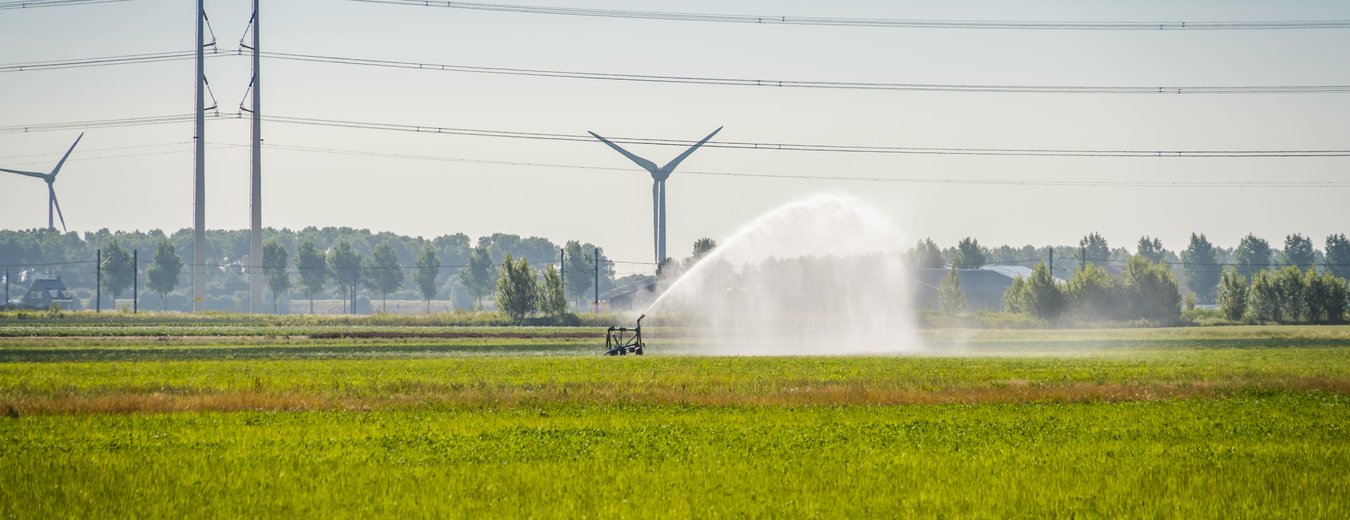 Droogte