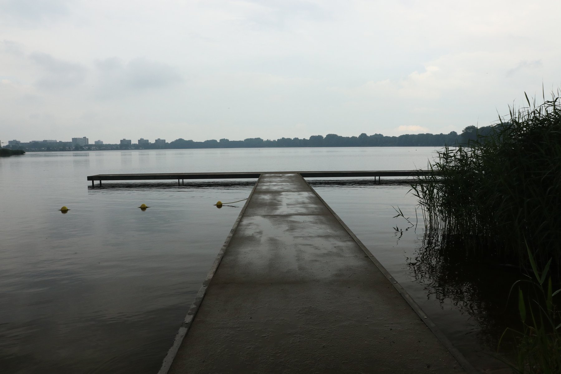 Polder Zegerplas - Alphen a/d Rijn