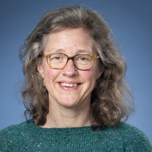 Irene Gerrits Bestuursadviseur VV
