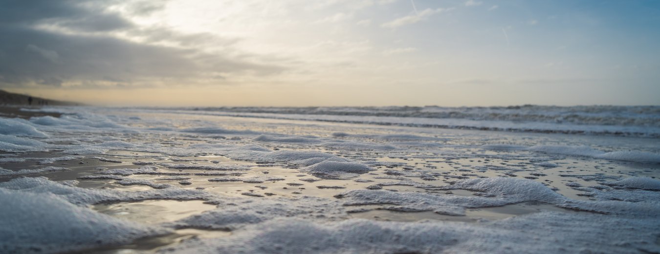 MF00203