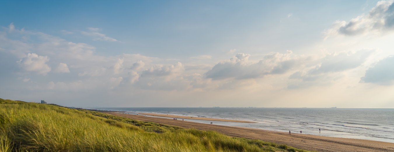 Duinen