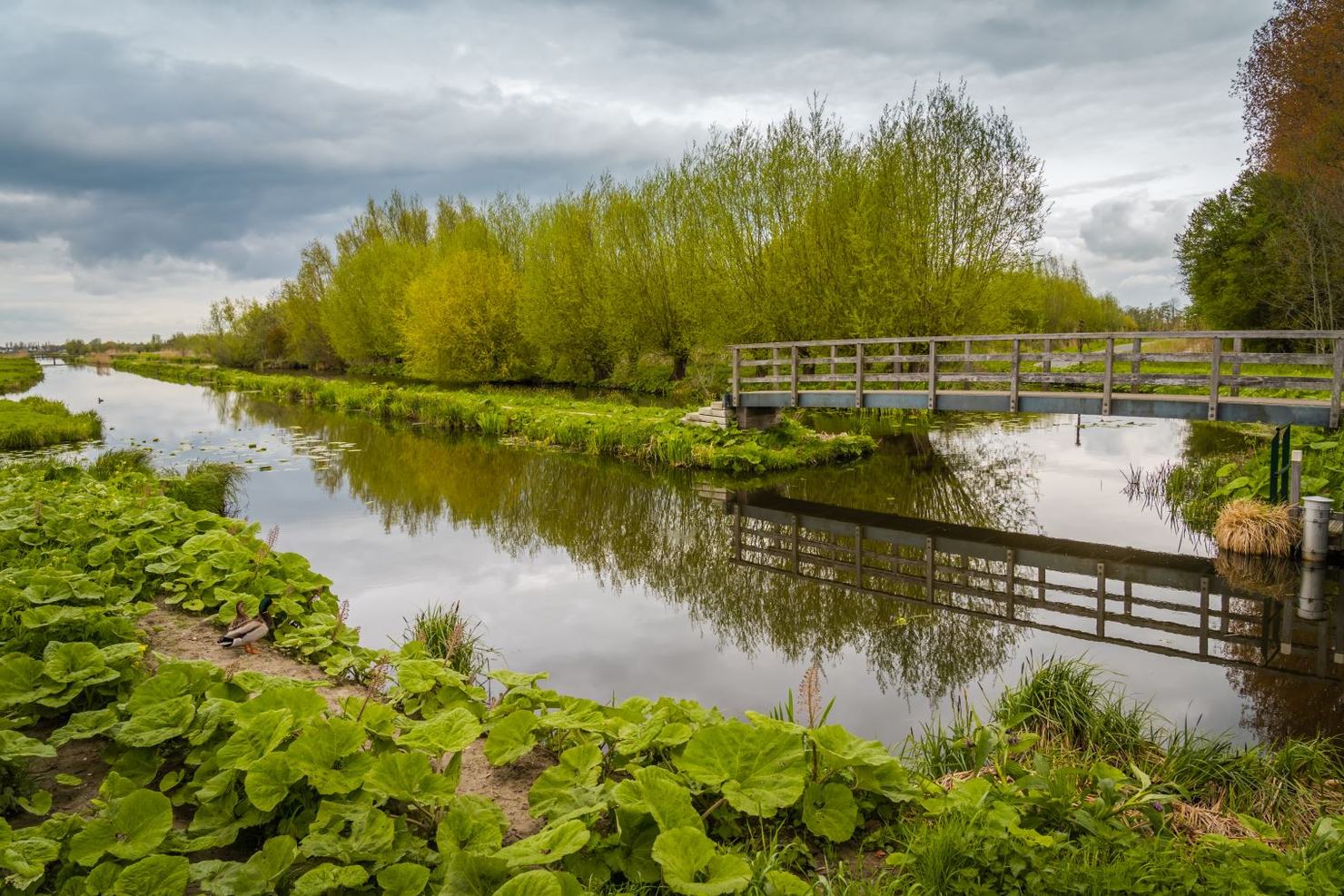 Polder Bloemendaal