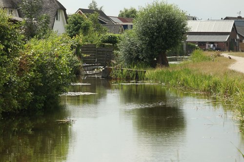 Polder Nieuwkoop