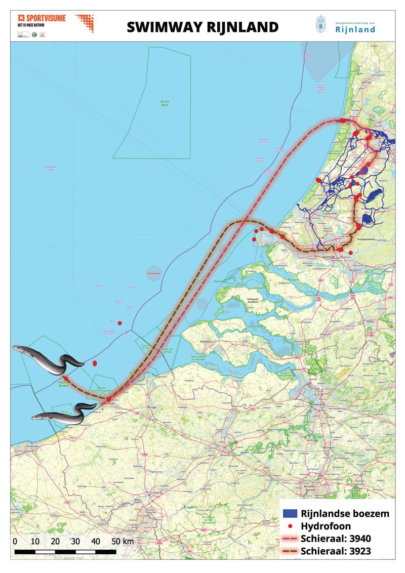 Route van twee schieralen in het Swimway-onderzoek