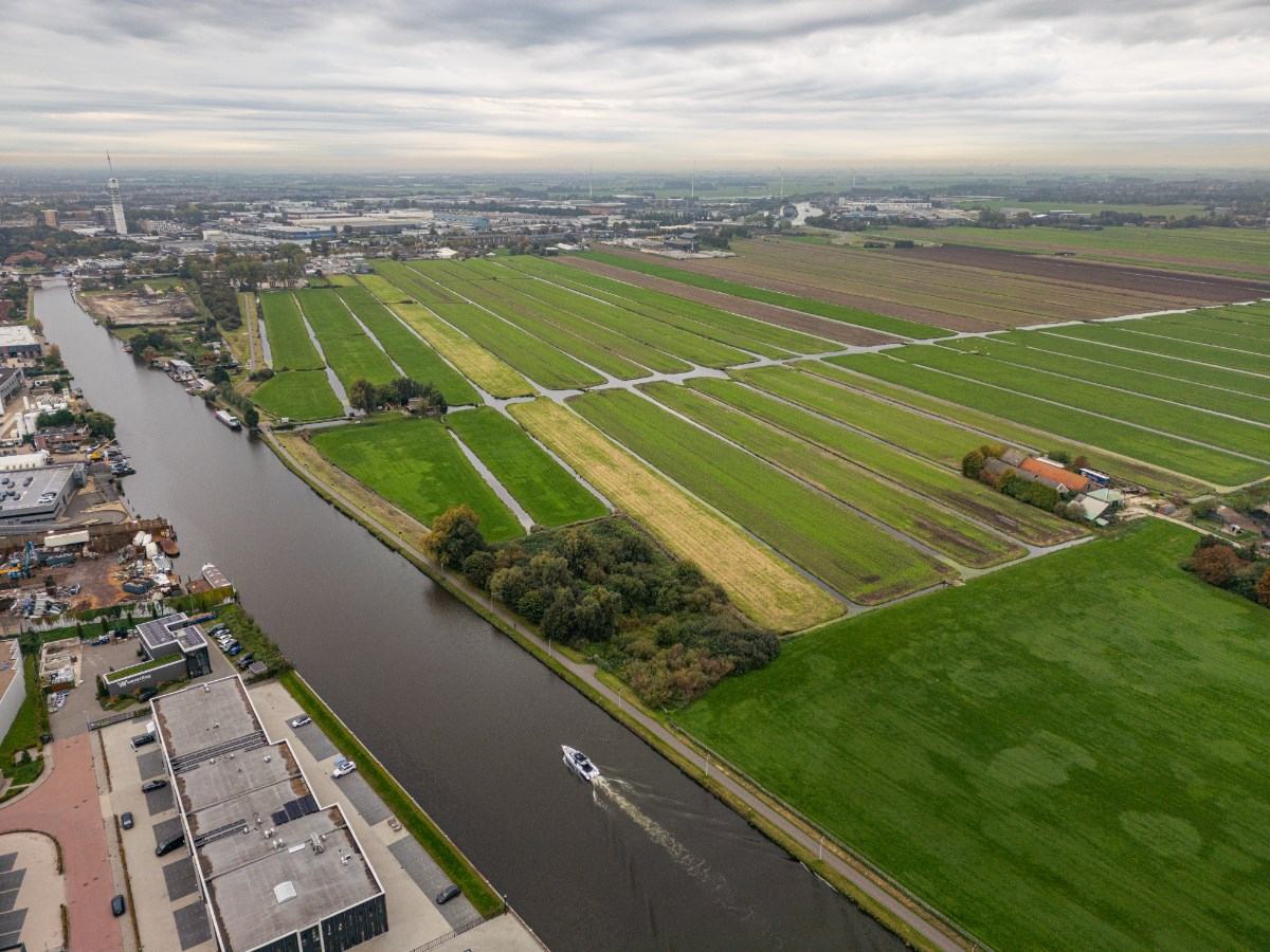 Gnephoek Alphen aan den Rijn: foto Martijn Bravenboer