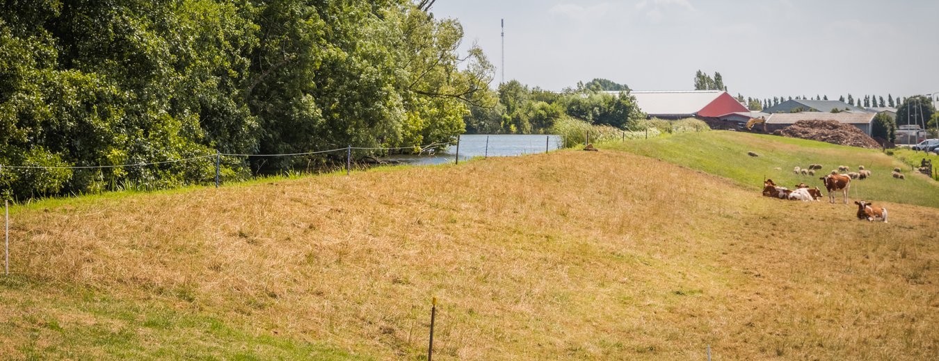 Droogte