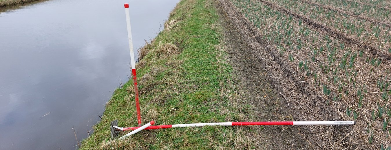 Teeltvrije zone