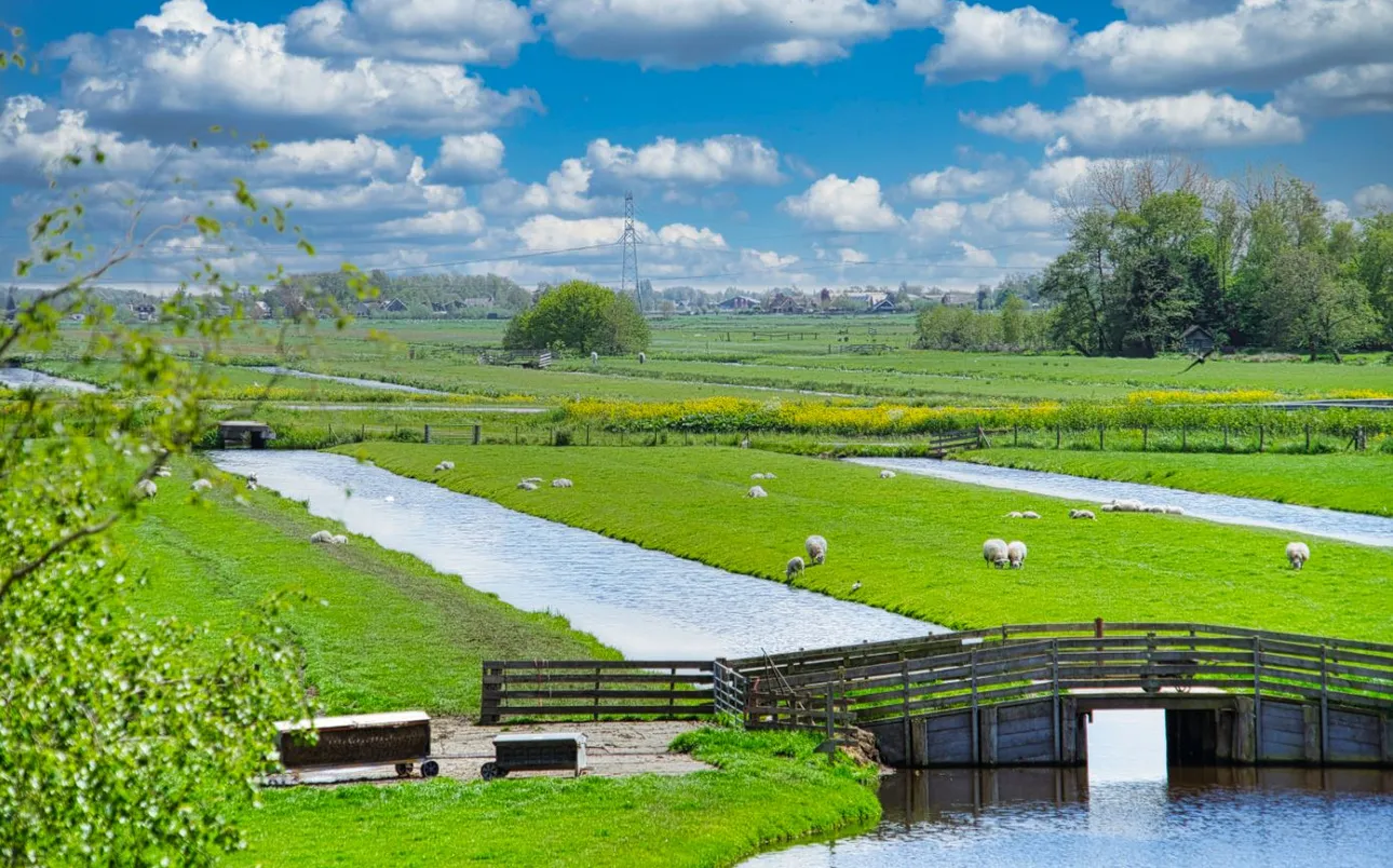 Krimpenerwaard