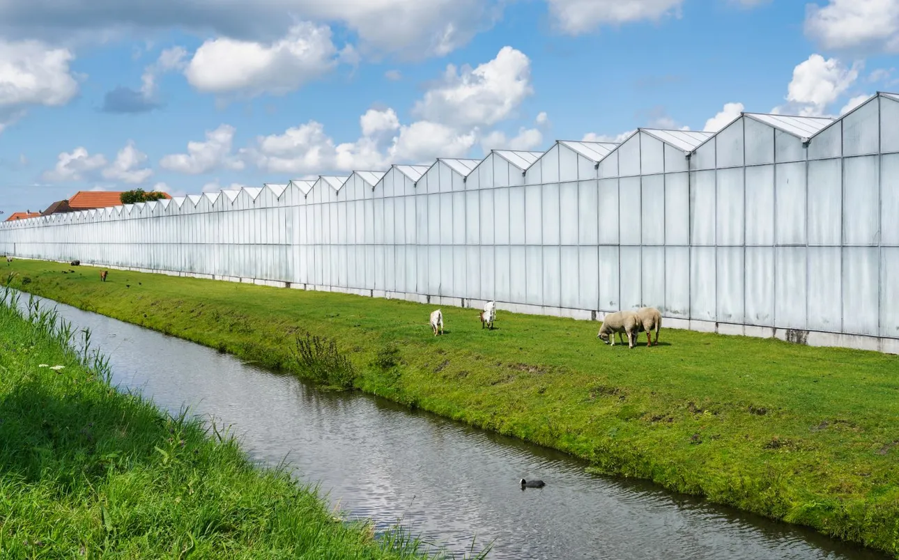 Kassen naast water