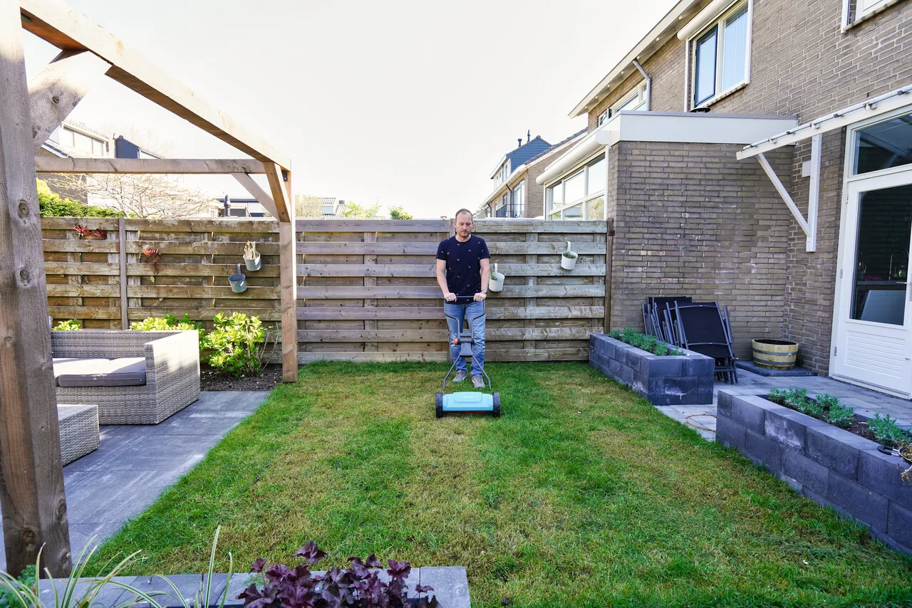 Groene tuin