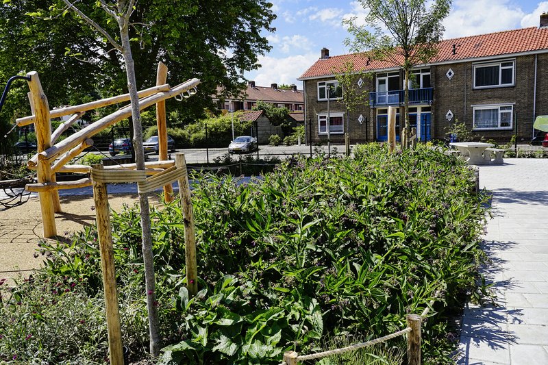 Groen schoolplein