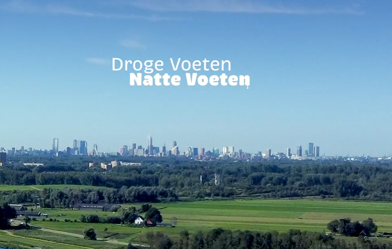 drogevoetennattevoeten