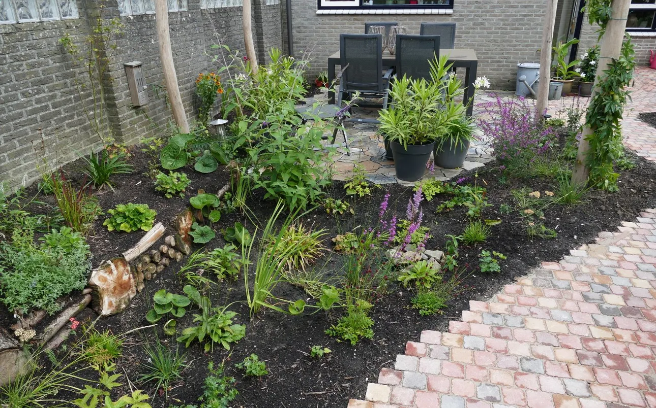 Groene tuin