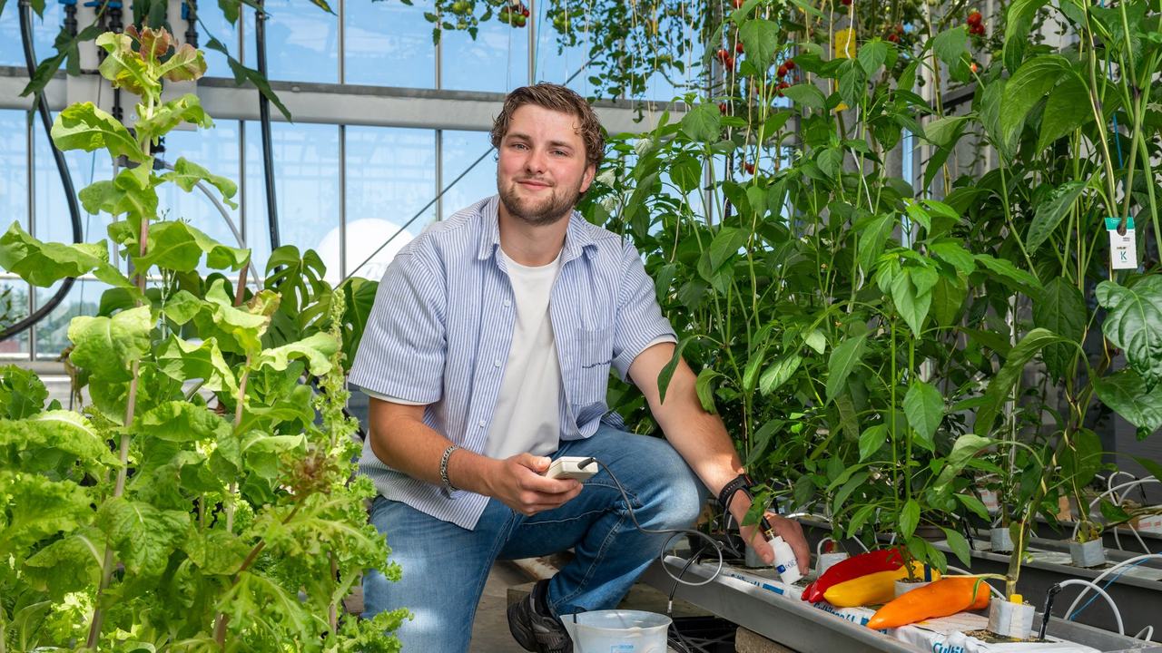 Student van de opleiding Innovatieve Plantenteelt