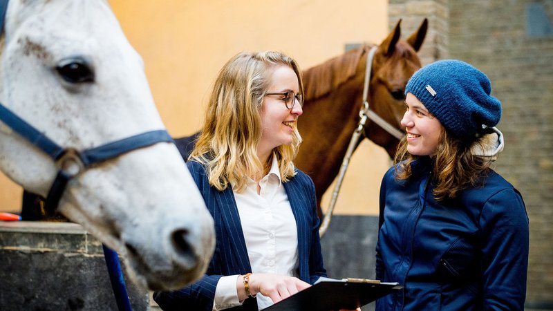 Twee studenten Equine Sports and Business bespreken resultaten onderzoek naast wit paard