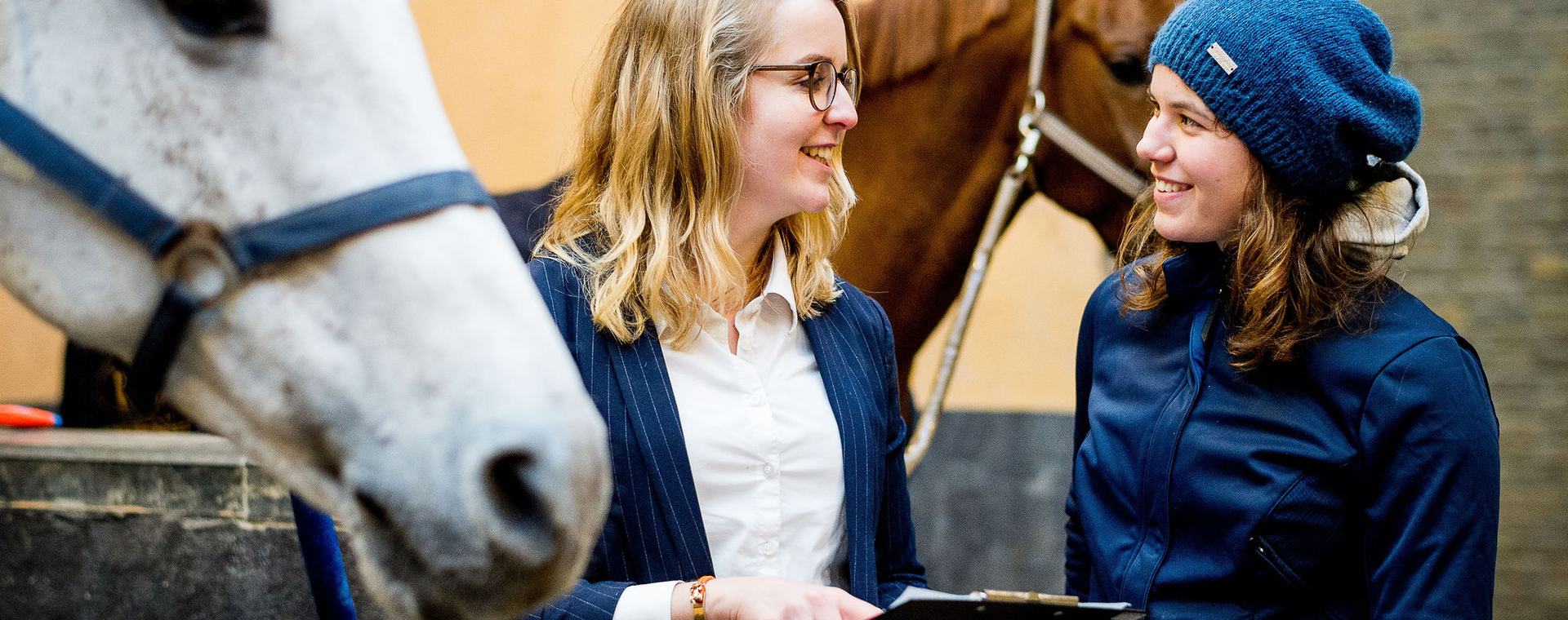 Twee studenten Equine Sports and Business bespreken resultaten onderzoek naast wit paard