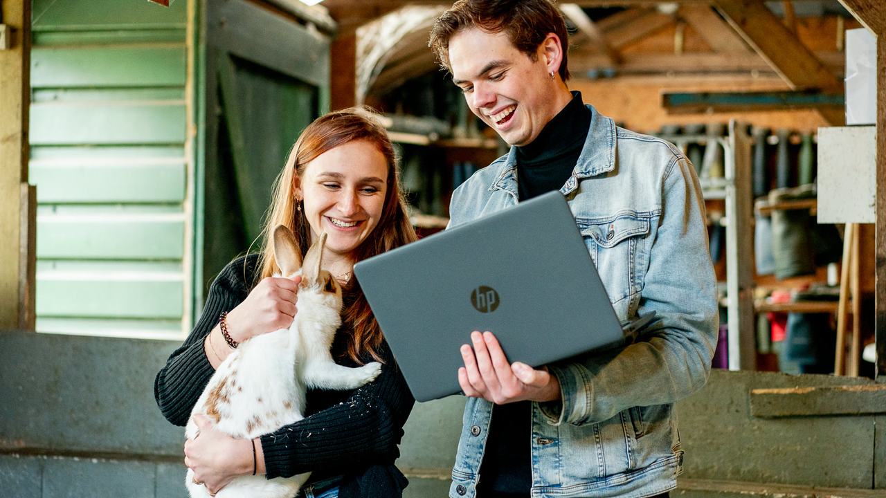 Studenten met konijn en laptop