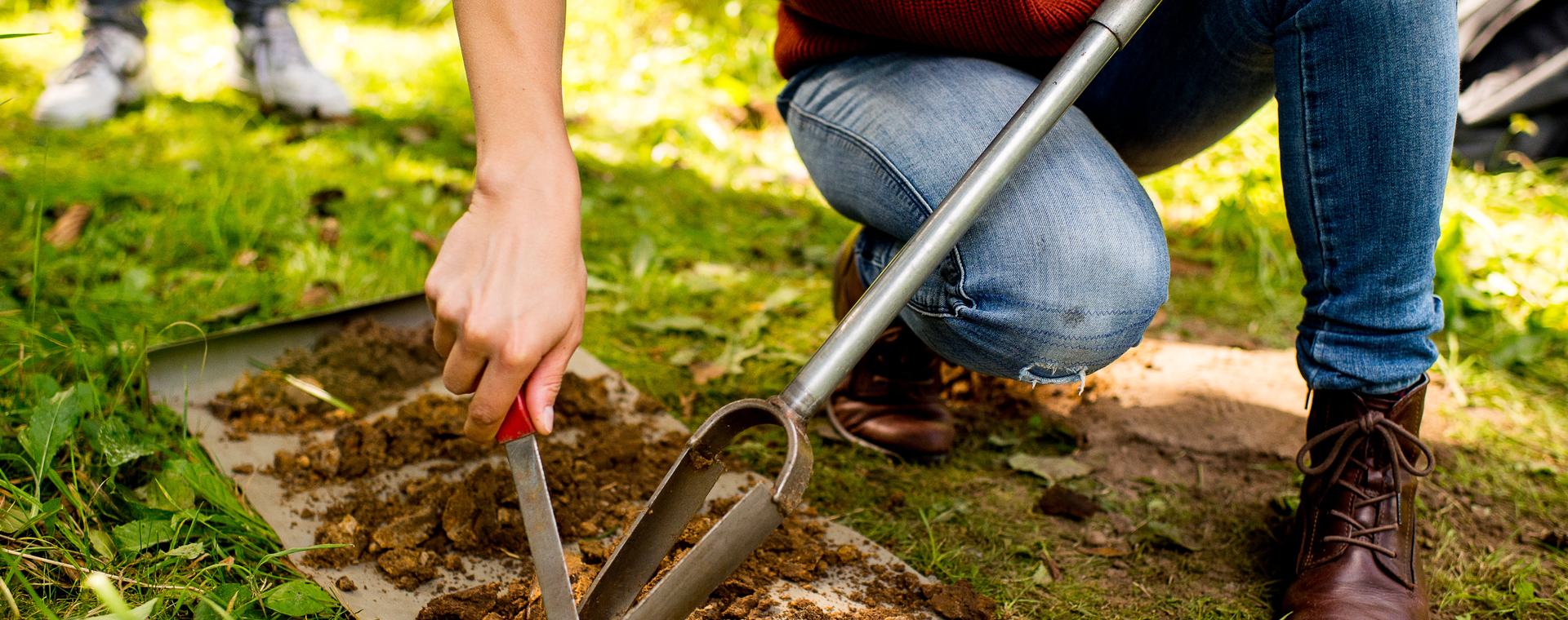 Bos & Natuurbeheer student van HVHL doet bodemonderzoek