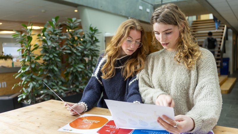 HVHL Bedrijfskunde en Agribusiness studenten werken aan een opdracht