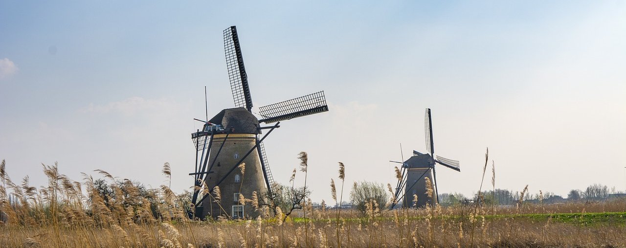 Nederlands landschap met molens