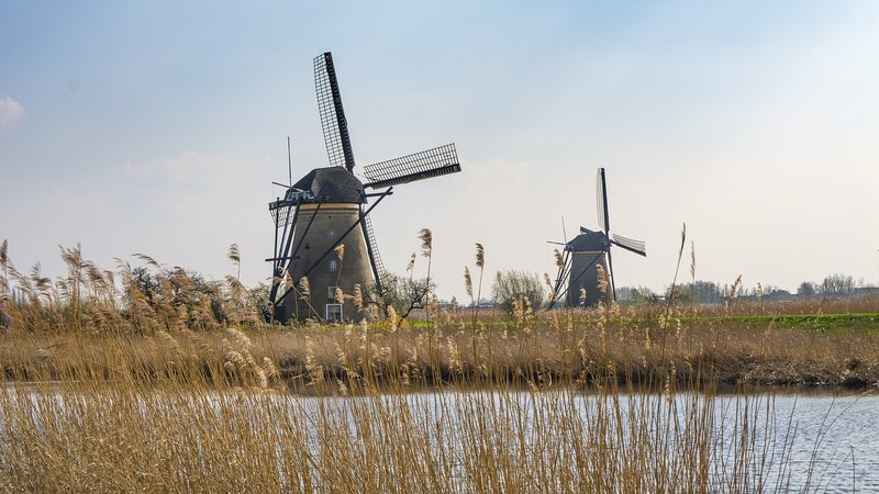 Nederlands landschap met molens