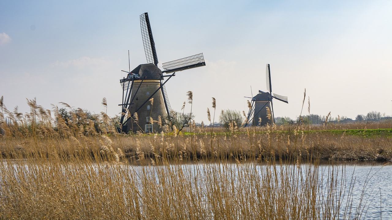 Nederlands landschap met molens