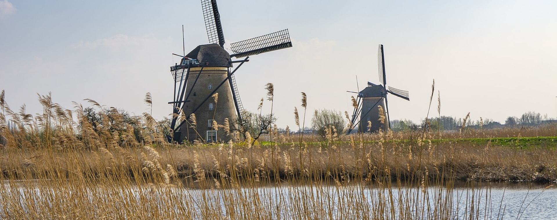 Nederlands landschap met molens