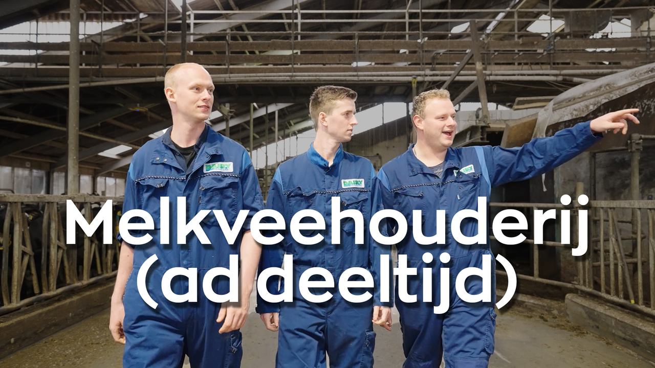 Studenten in de video over studie Melkveehouderij ad voltijd