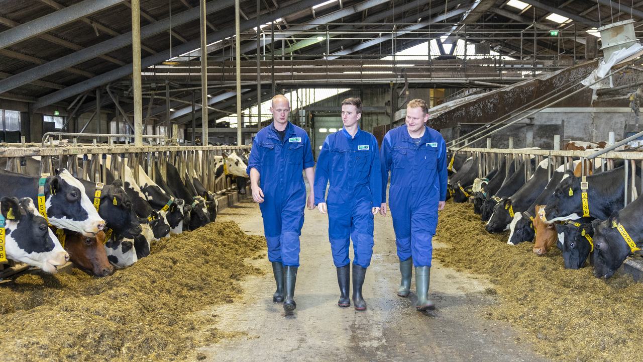 hvhl dierveehouderij loopbaankansen
