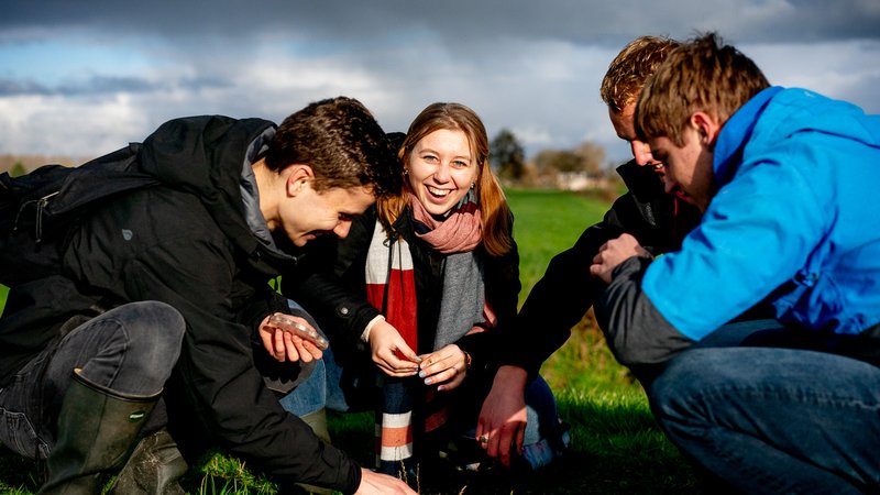 Studenten bestuderen een bodemmonster in een weiland