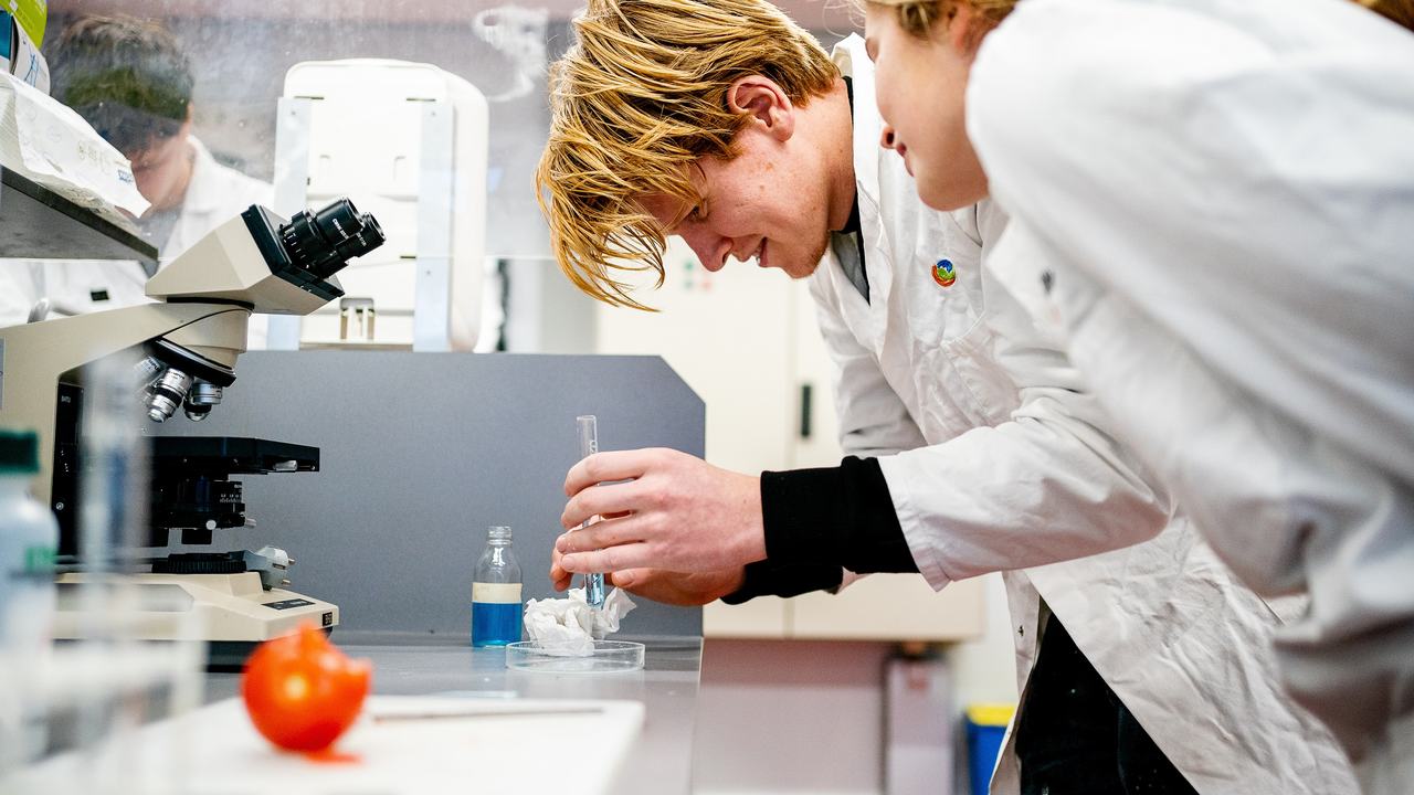 HVHL Innovatieve Plantenteelt studenten werken aan een proef in het lab