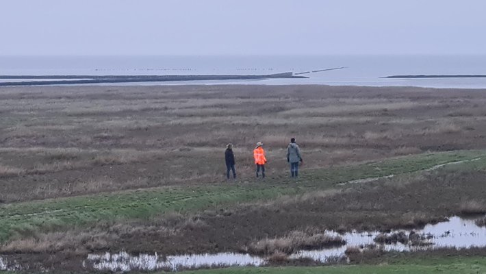 Prolander testimonial LLO 2