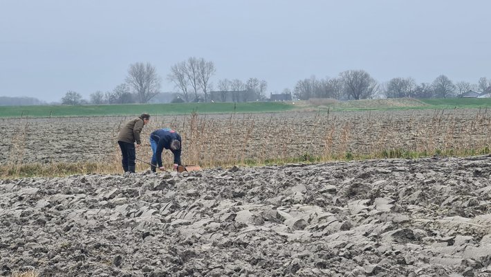 Prolander testimonial LLO