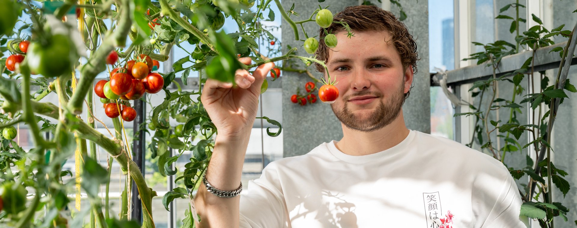 student met tomaten