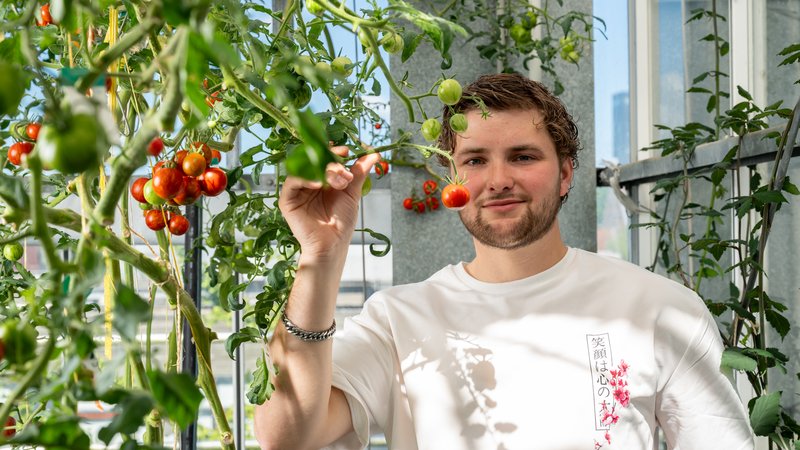 student met tomaten