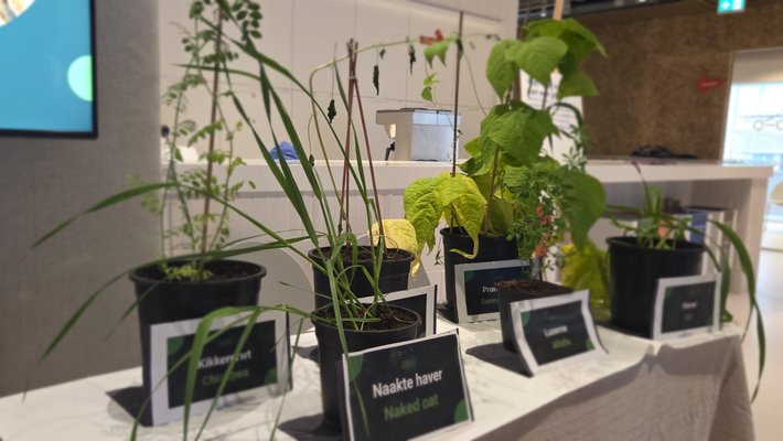 zpannend zernike 2025