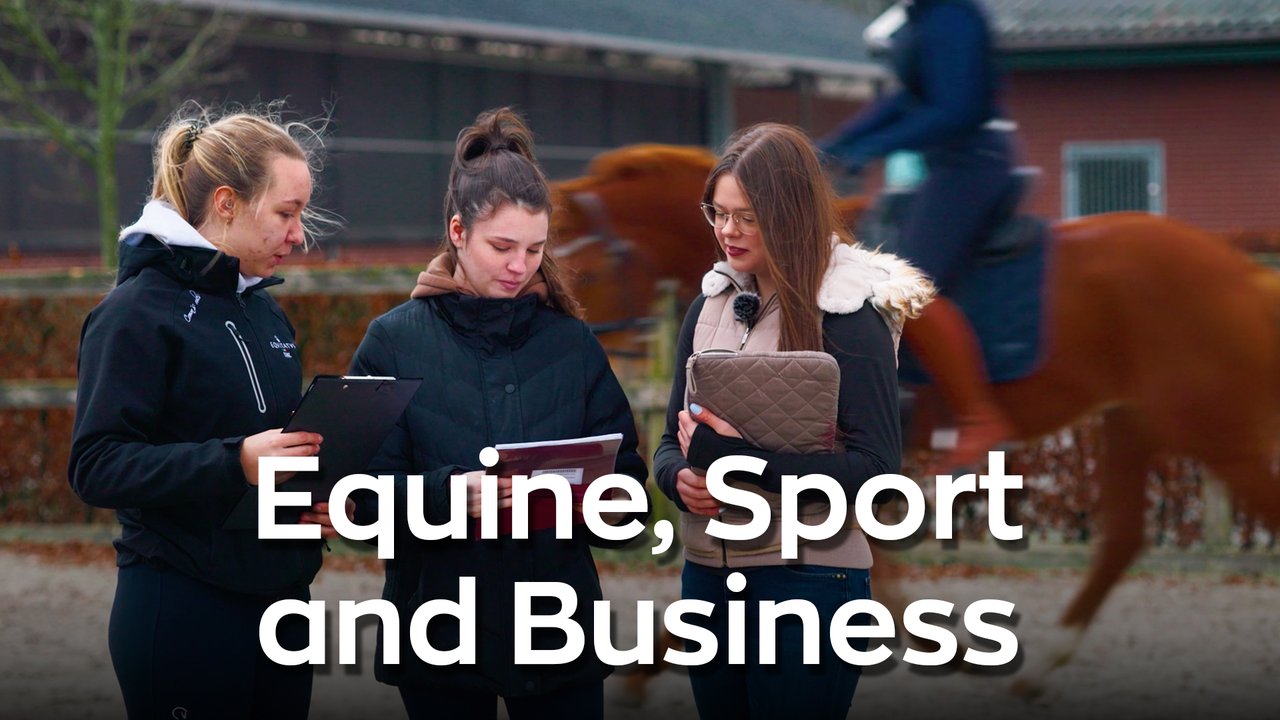 Drie ESB studenten over hun studie Equine, Sports and Business