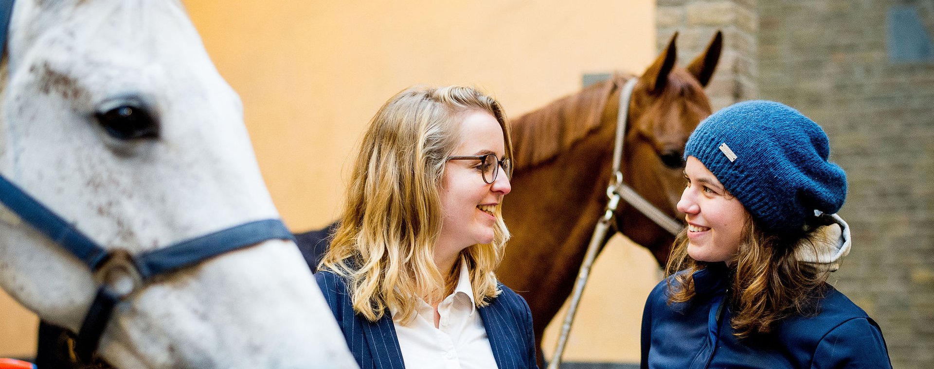Twee studenten Equine Sports and Business bespreken resultaten onderzoek naast wit paard