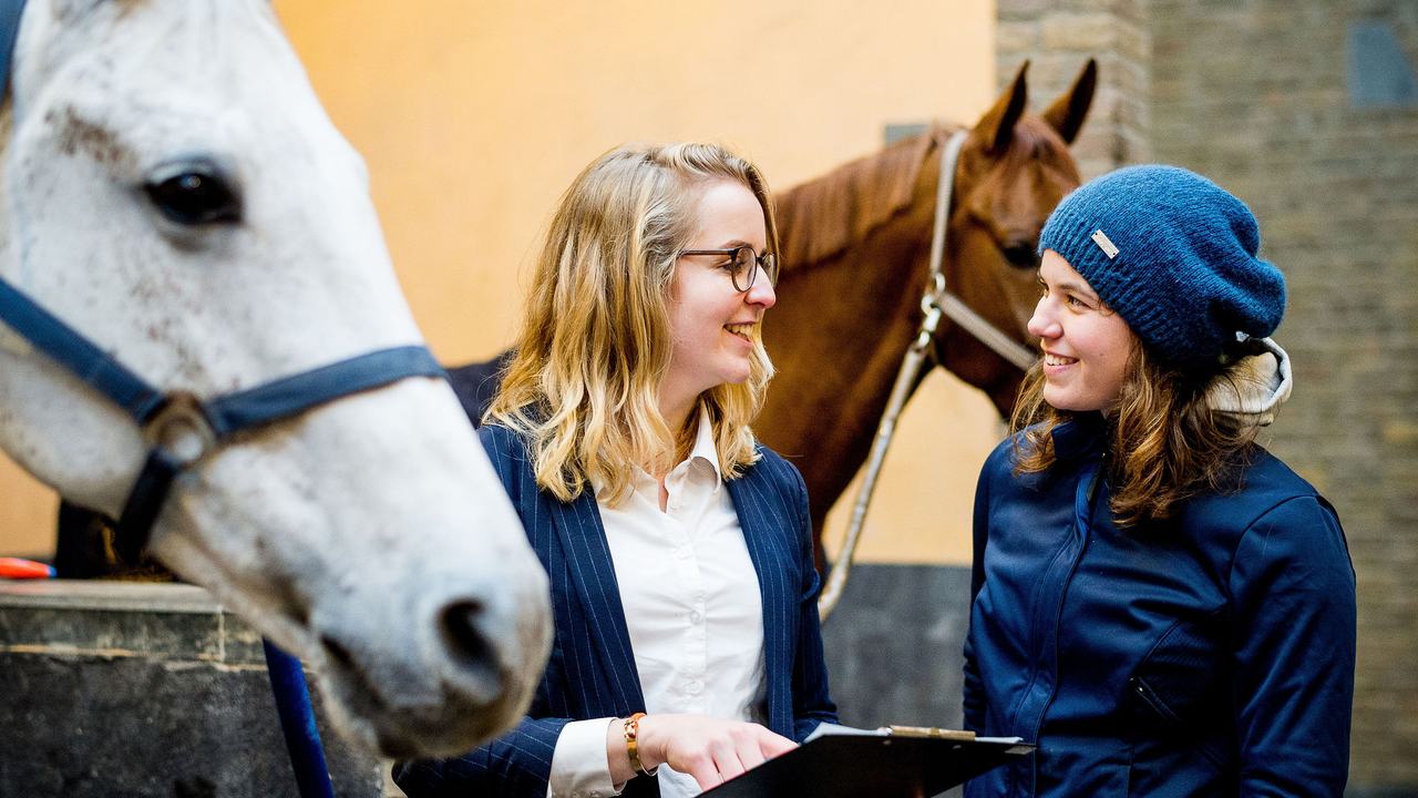 Twee studenten Equine Sports and Business bespreken resultaten onderzoek naast wit paard